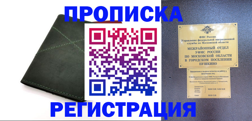 прописка в квартире в Ермолино